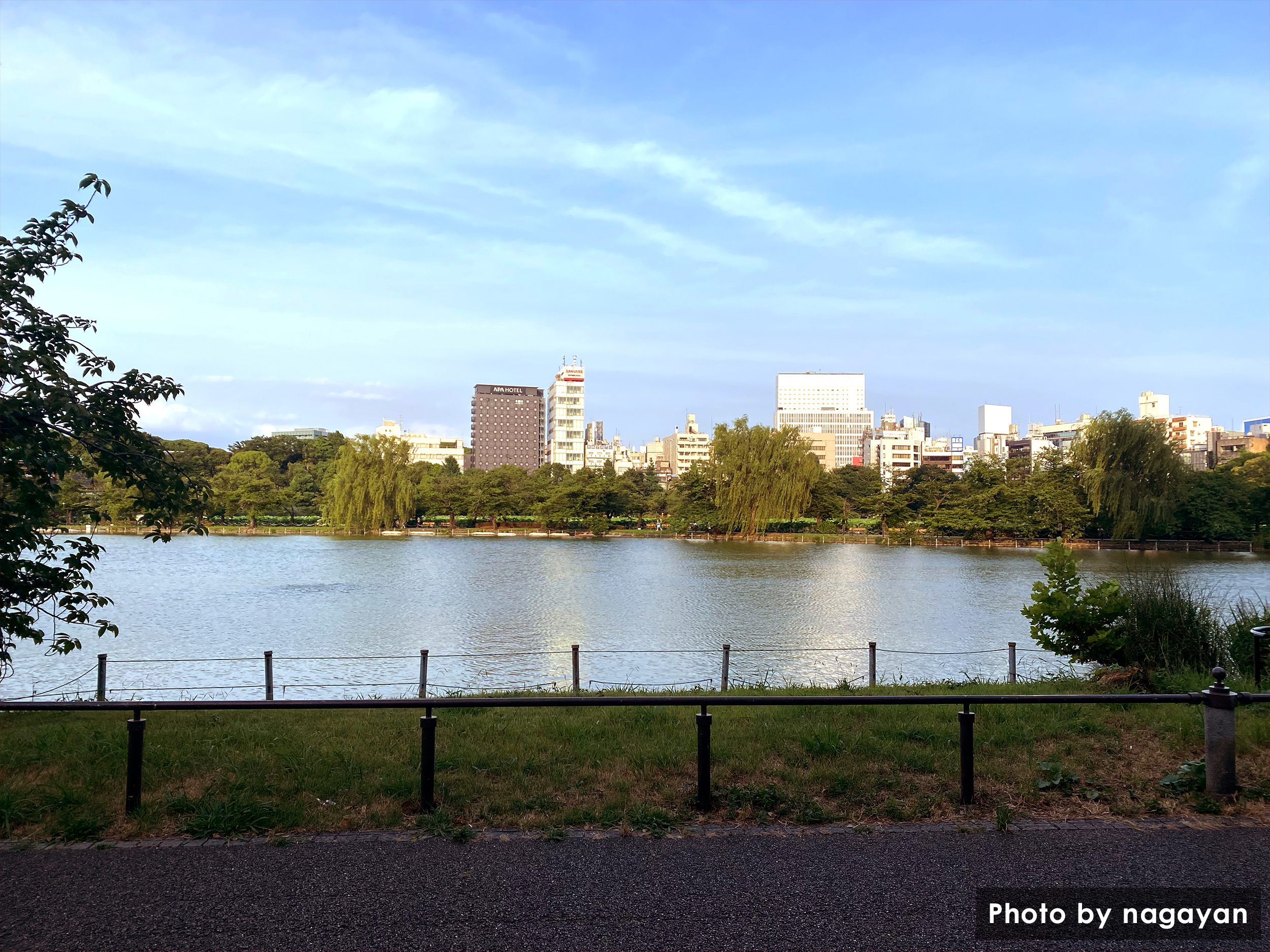 上野公園　不忍池