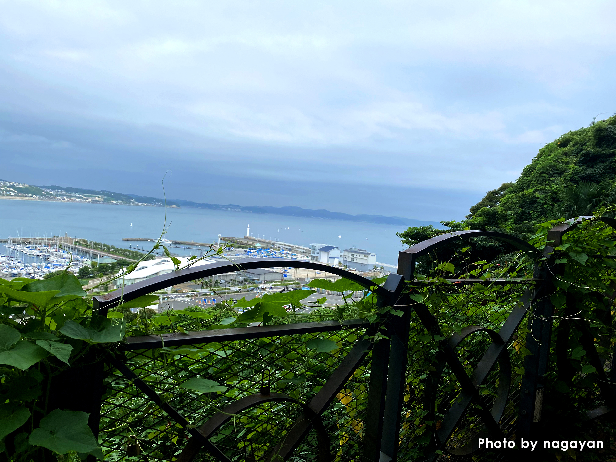 山の上から湘南港