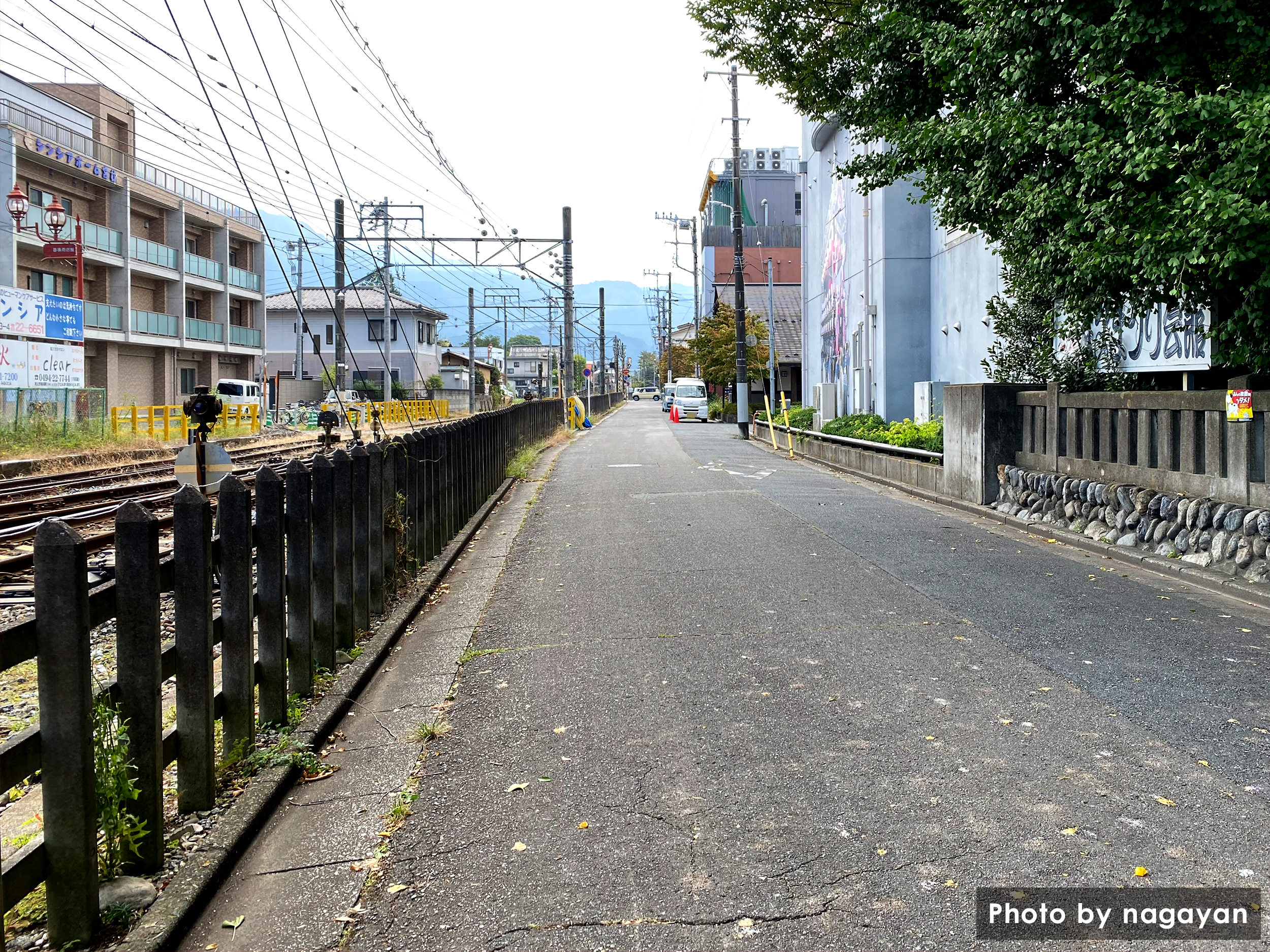 秩父鉄道線路脇