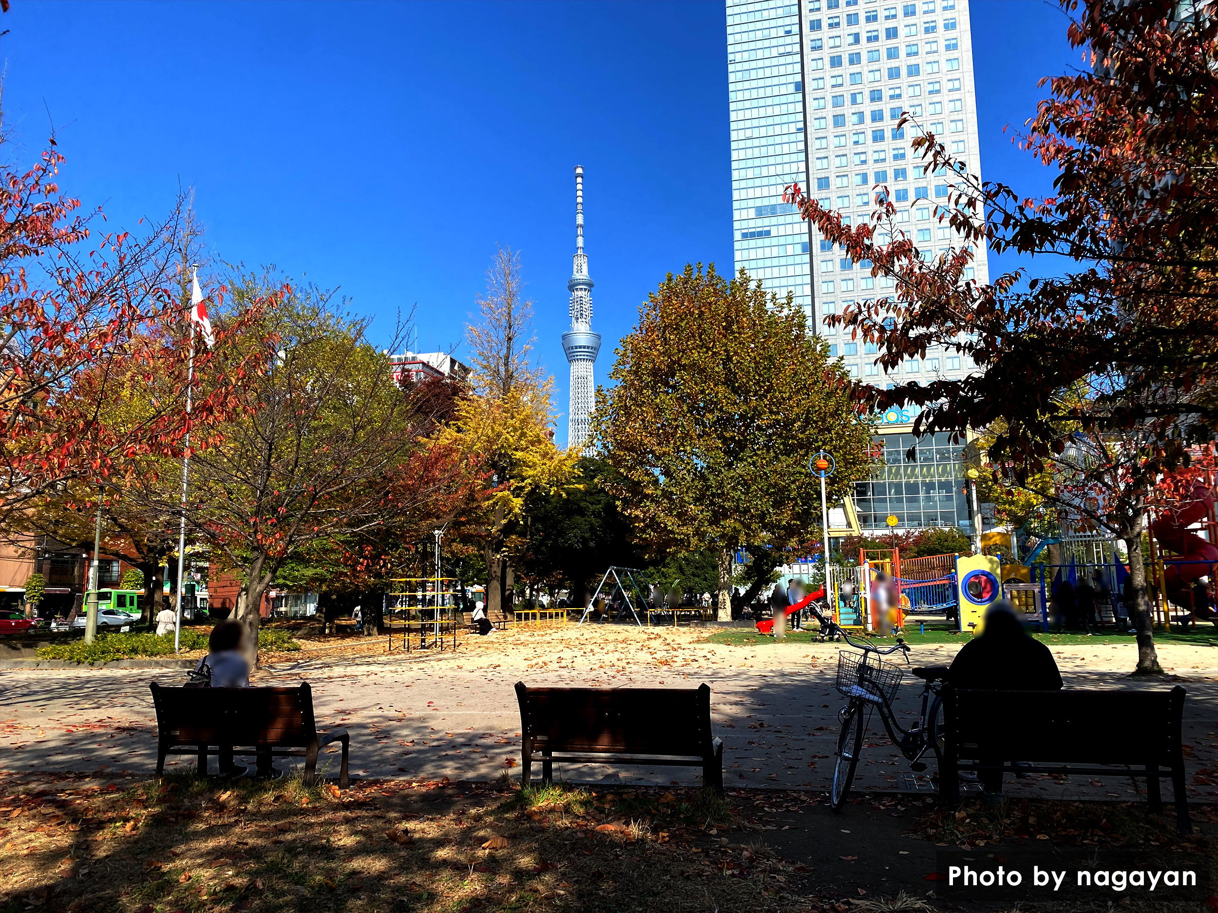 錦糸公園