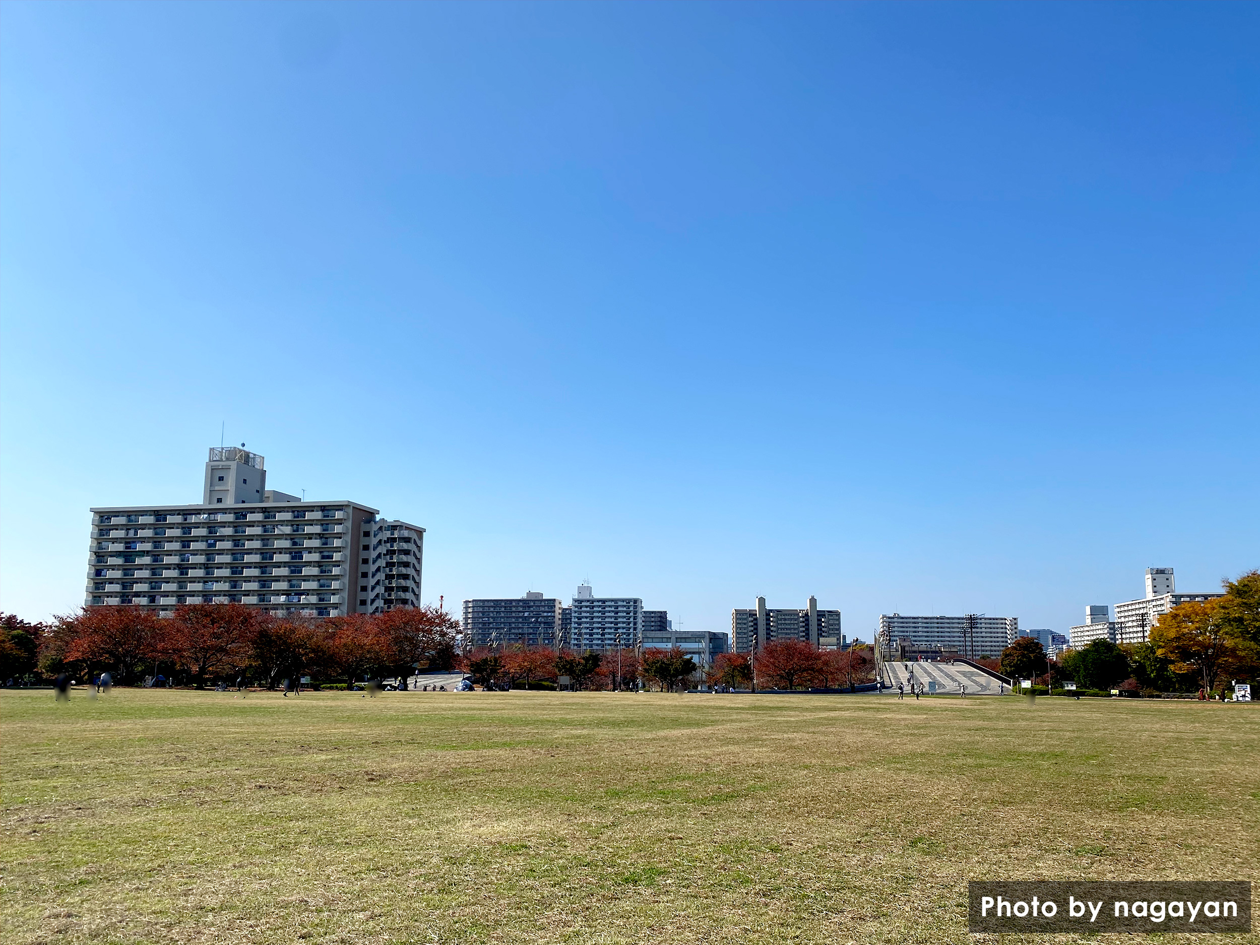 大島小松川公園