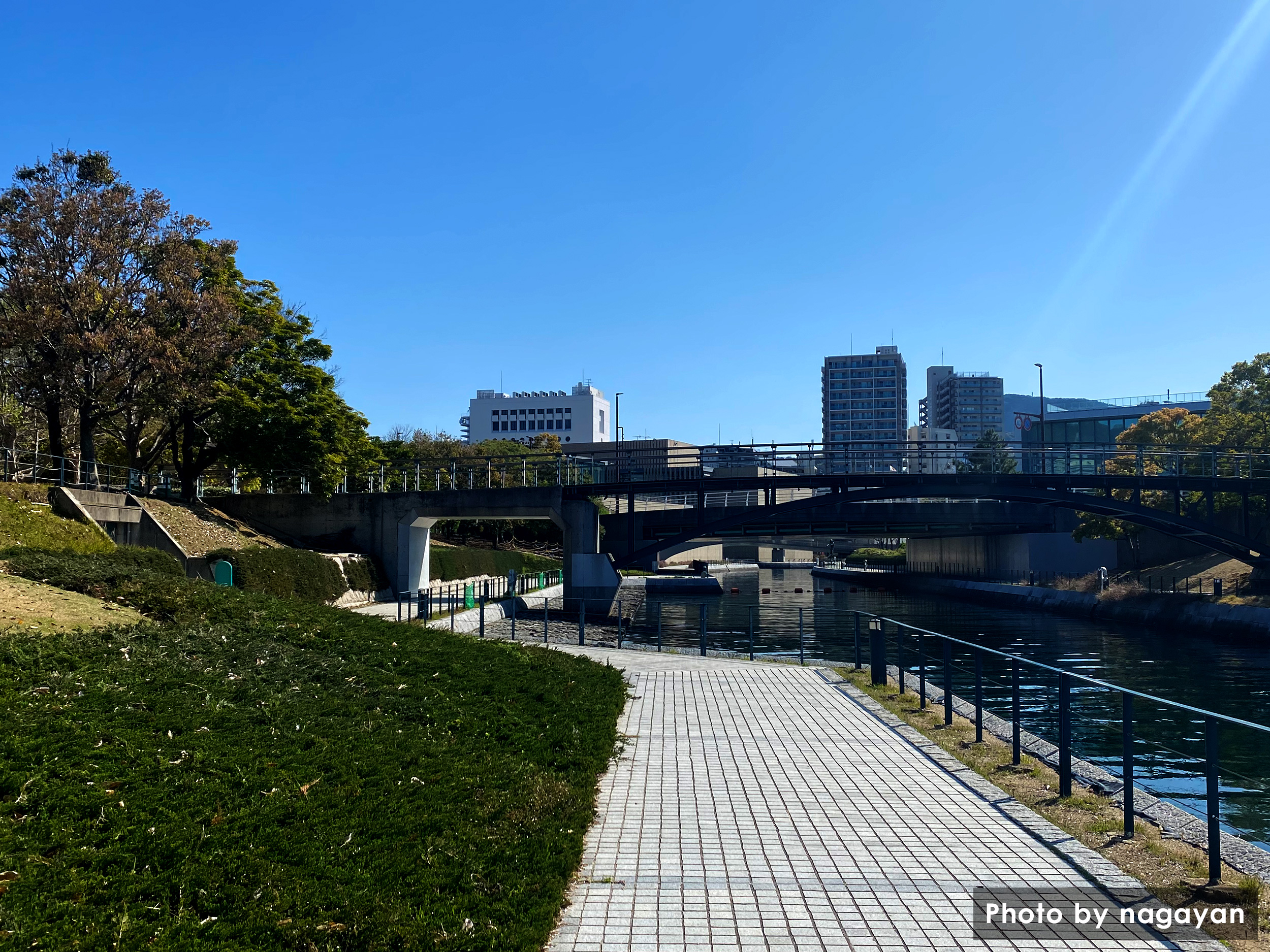 水辺の森公園