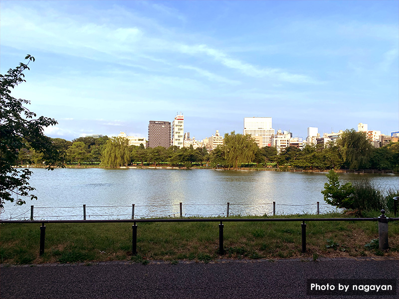 上野公園不忍池