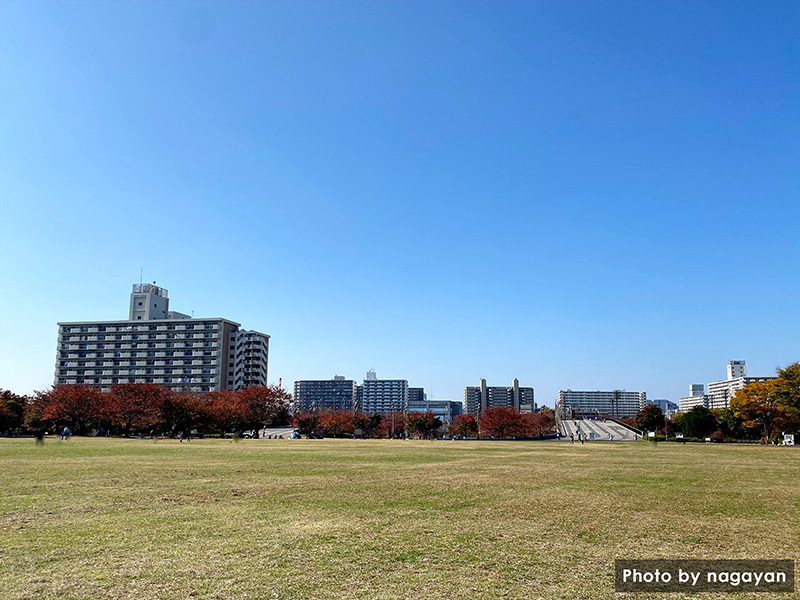 大島小松川公園