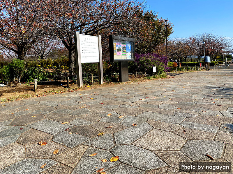 大島小松川公園