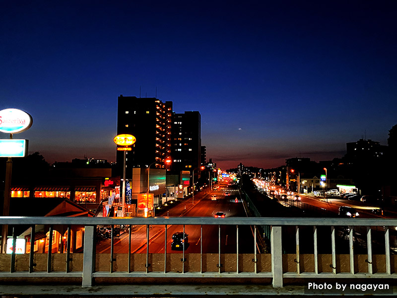 稲毛陸橋