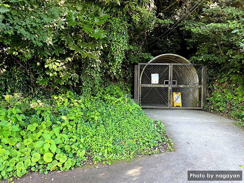 赤山地下壕跡　入口