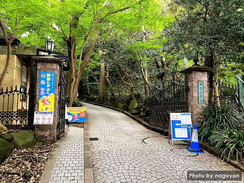 鎌倉文学館